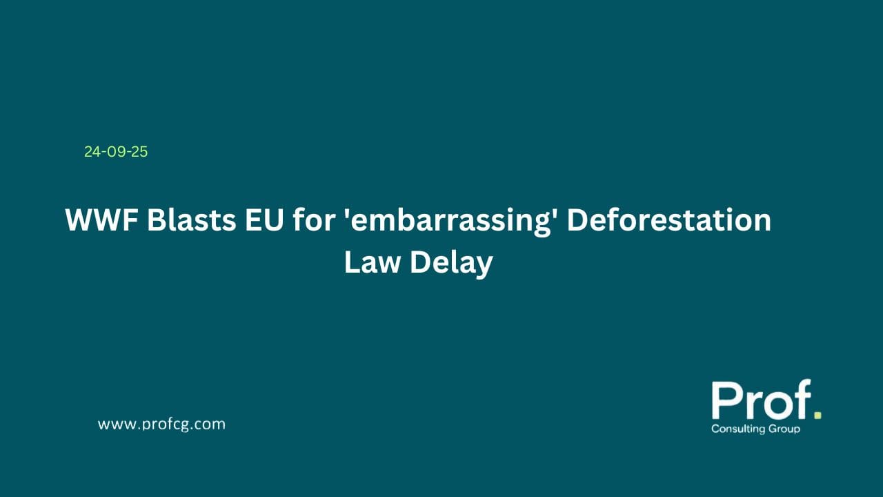 Deforestation Law Delay