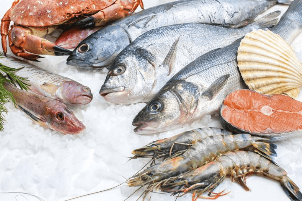 Major Seafood Processor – Redefining Category Leadership and Profitability ProfCG