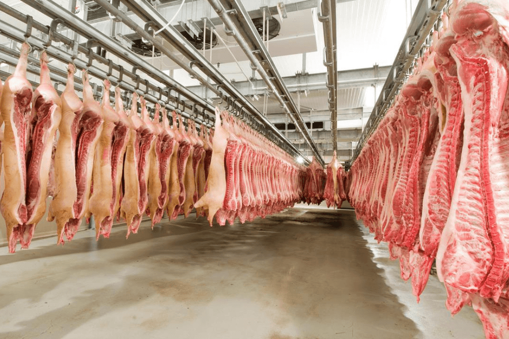 Pork Manufacturer ProfCG Consulting