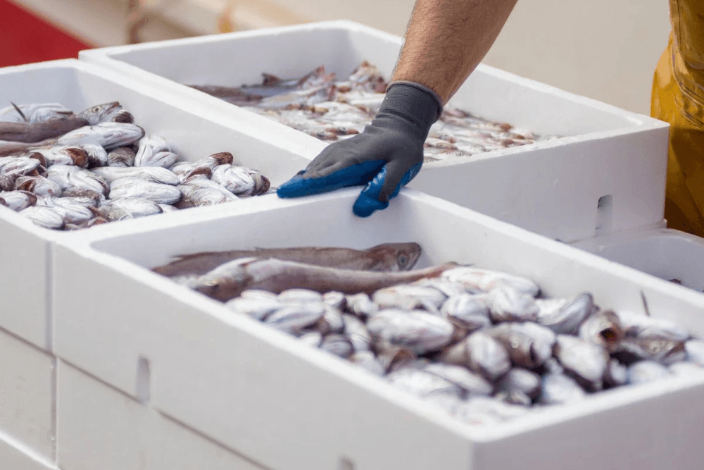 Seafood market - UK